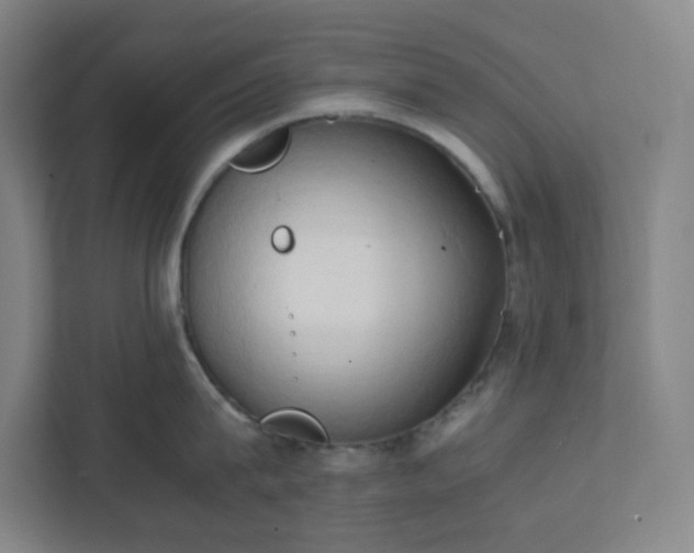 X0000111950815200908031157