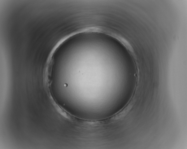 X0000111950816200908031157