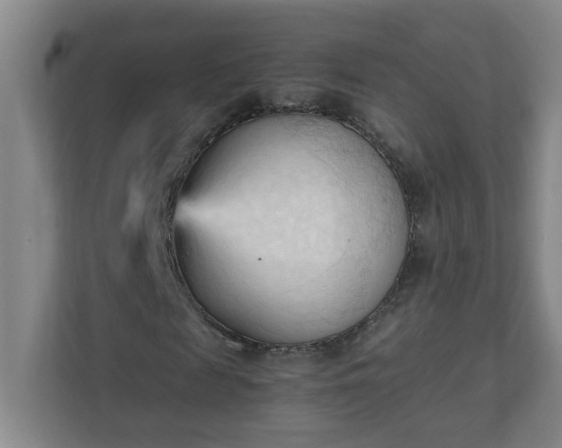 X0000111950817200908031156