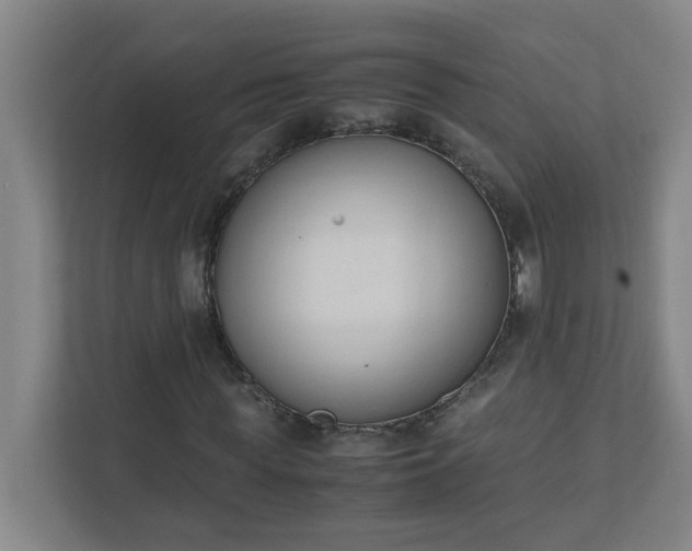 X0000111950819200908031156