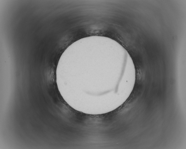 X0000111950820200908031156