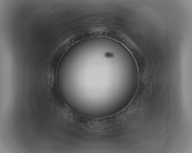 X0000111950821200908031156