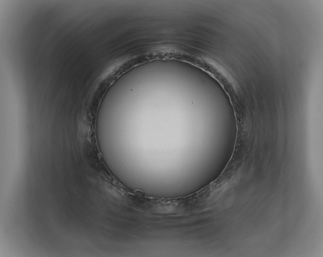 X0000111950823200908031156