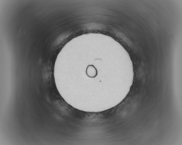X0000111950824200908031156