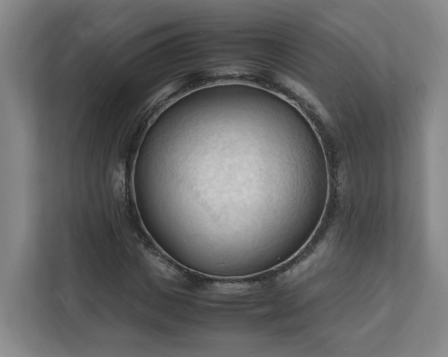 X0000111950825200908031156