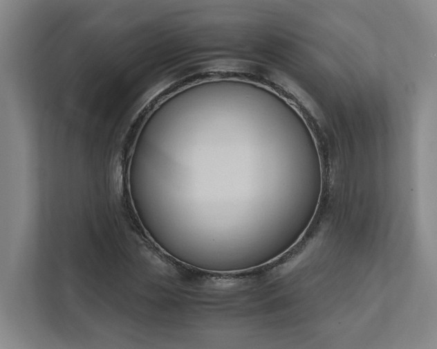 X0000111950829200908031156