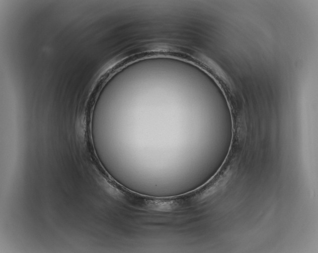 X0000111950831200908031156