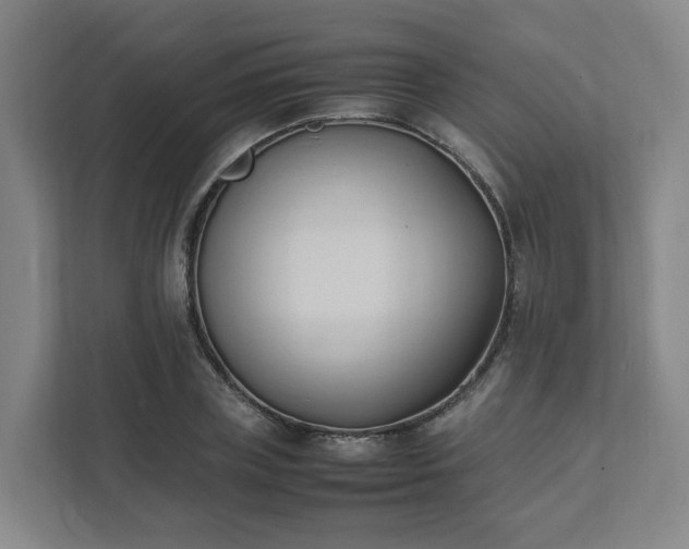 X0000111950835200908031156