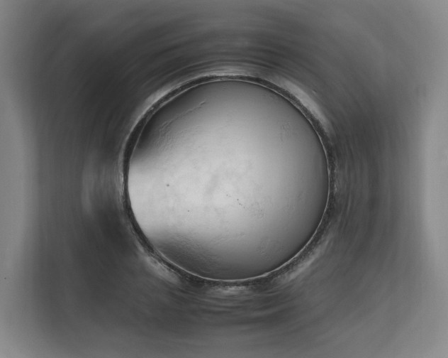 X0000111950837200908031156