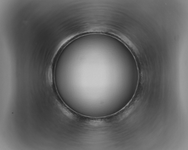 X0000111950838200908031156