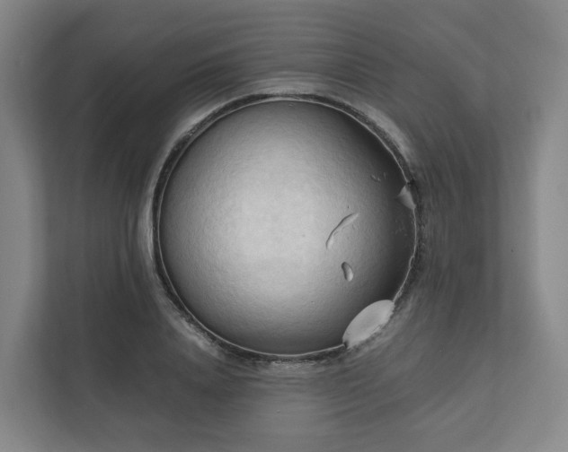 X0000111950840200908031156