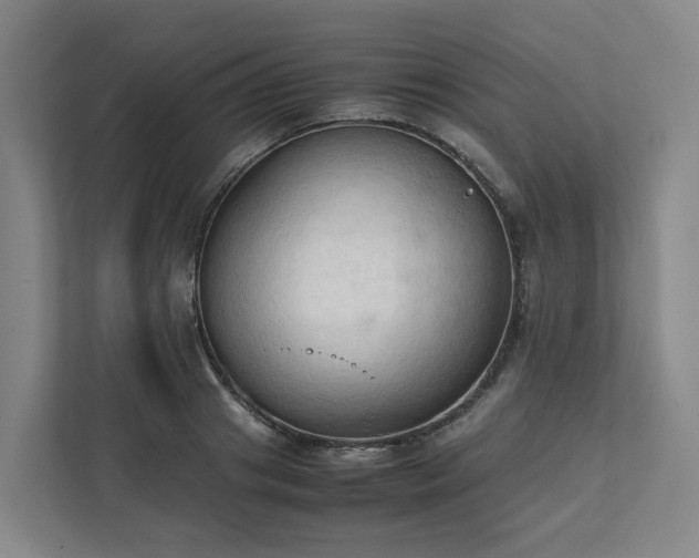 X0000111950841200908031156