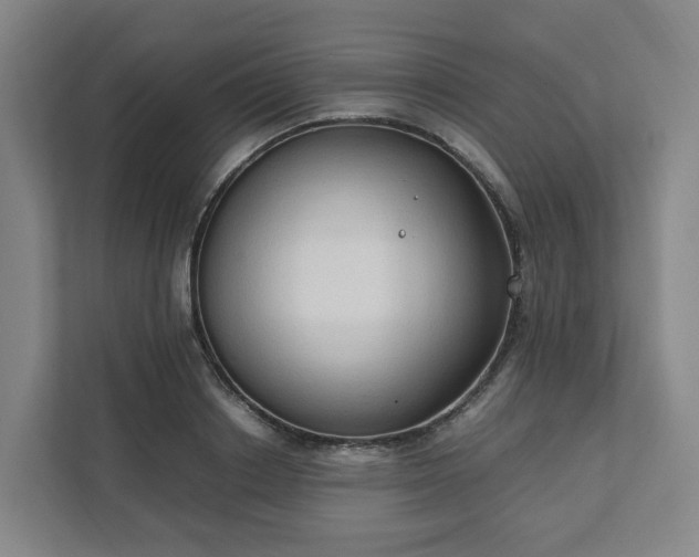 X0000111950842200908031156