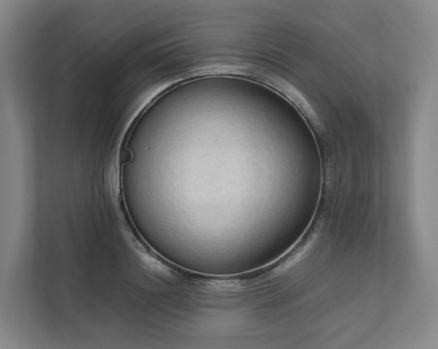 X0000111950844200908031156