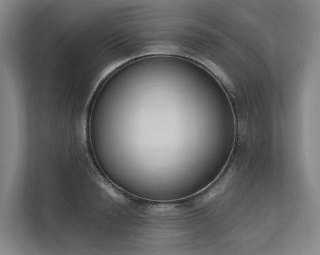 X0000111950846200908031156