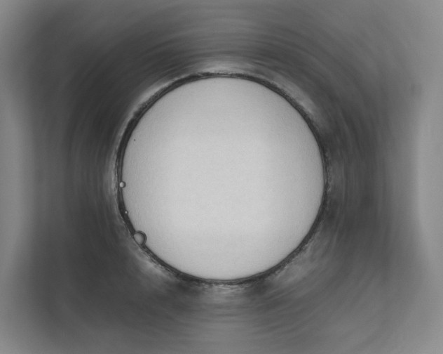 X0000111950848200908031156