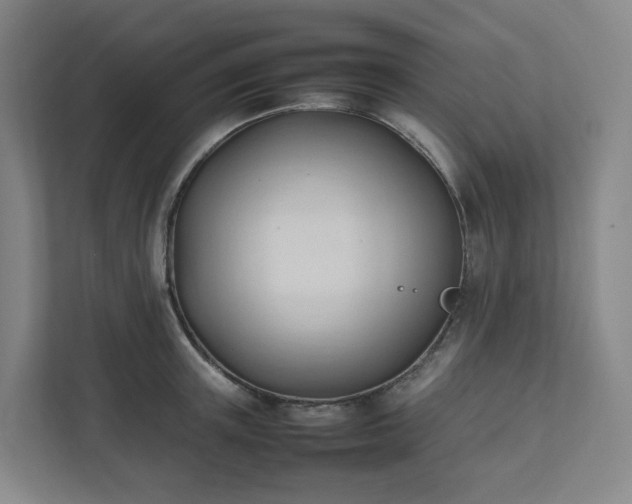 X0000111950851200908031156