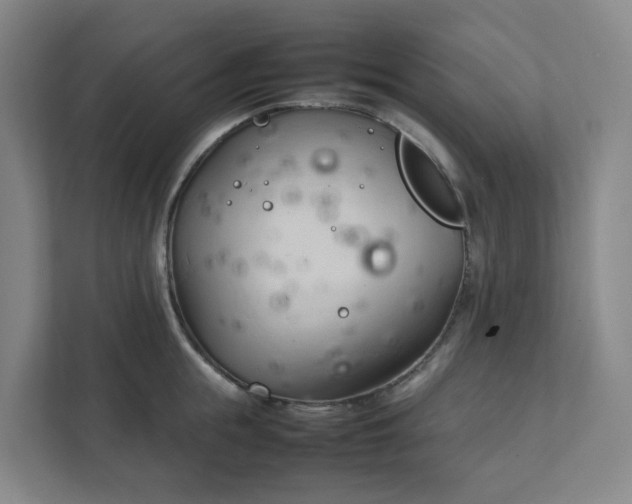 X0000111950855200908031157