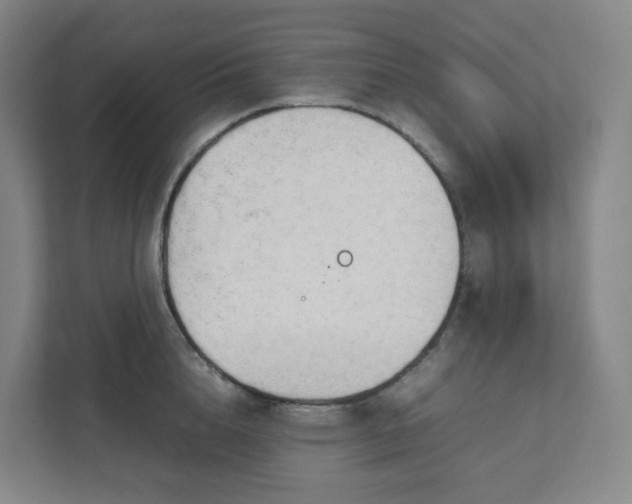 X0000111950856200908031157