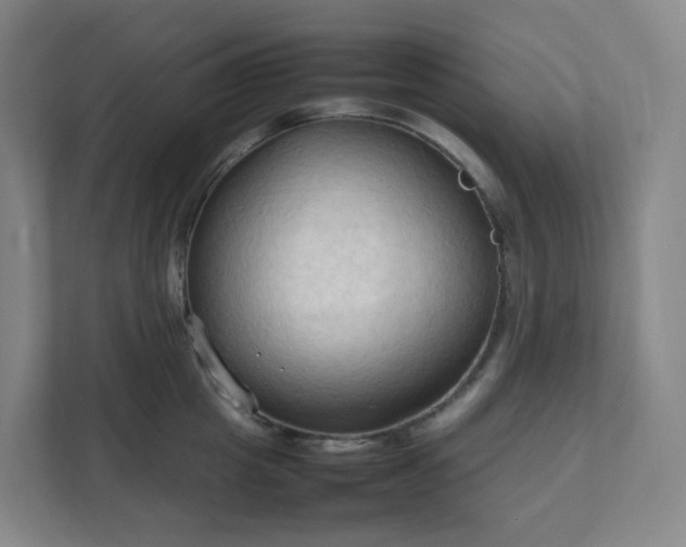 X0000111950857200908031157