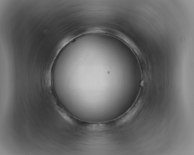 X0000111950858200908031157