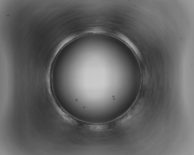 X0000111950861200908031157