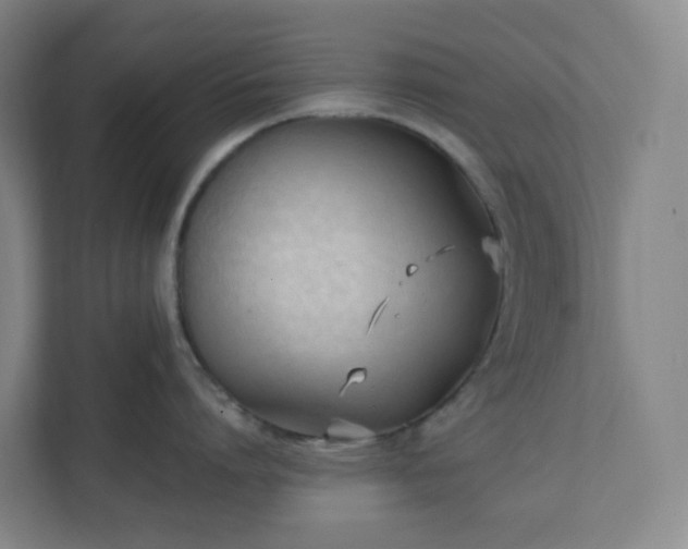 X0000111950864200908031157