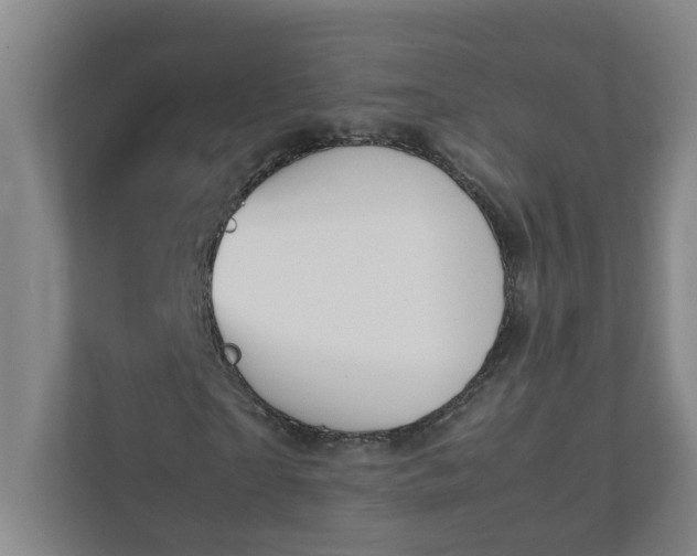 X0000111950865200908031156
