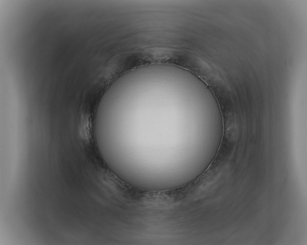 X0000111950866200908031156