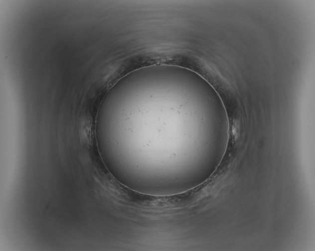X0000111950867200908031156