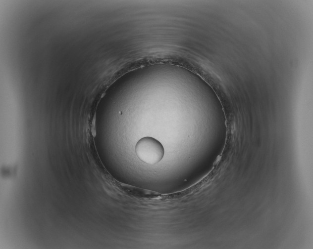 X0000111950868200908031156