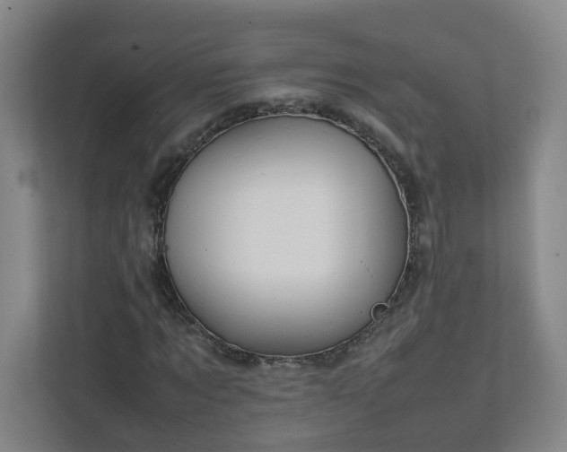 X0000111950869200908031156