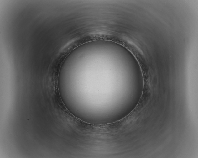 X0000111950870200908031156