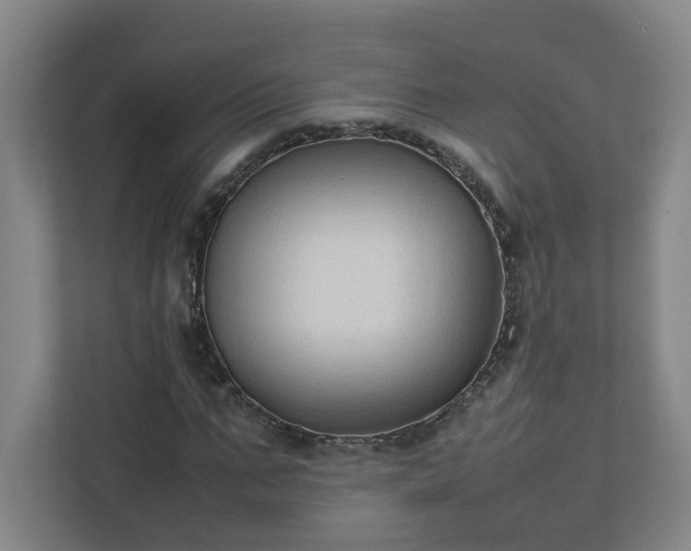 X0000111950871200908031156