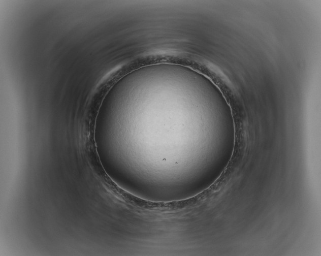 X0000111950872200908031156