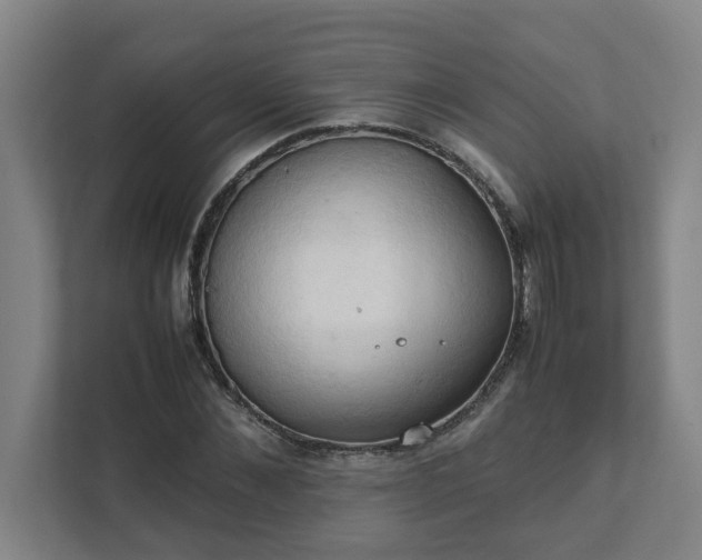 X0000111950876200908031156