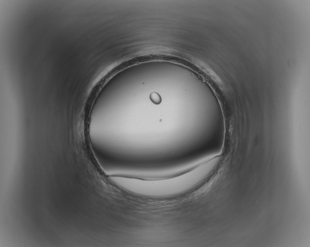 X0000111950877200908031156