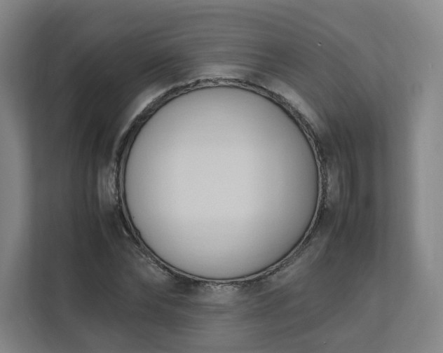 X0000111950878200908031156
