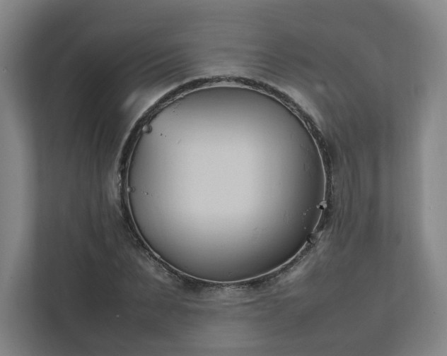 X0000111950879200908031156