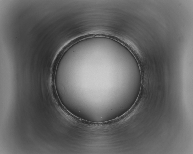 X0000111950880200908031156