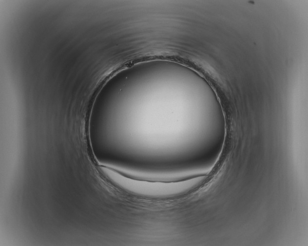 X0000111950881200908031156