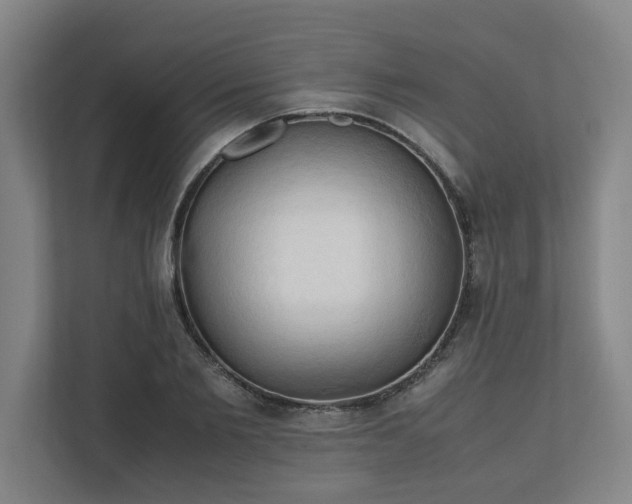 X0000111950885200908031156