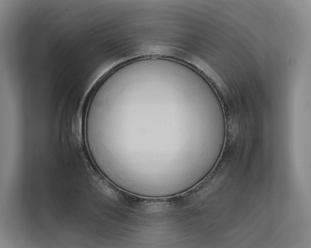 X0000111950886200908031156