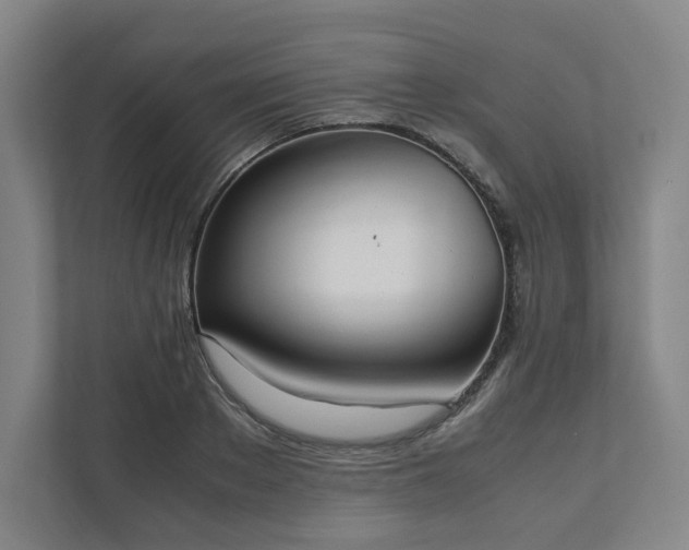X0000111950889200908031156