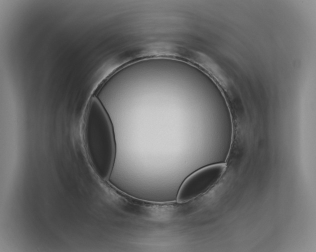 X0000111950893200908031156