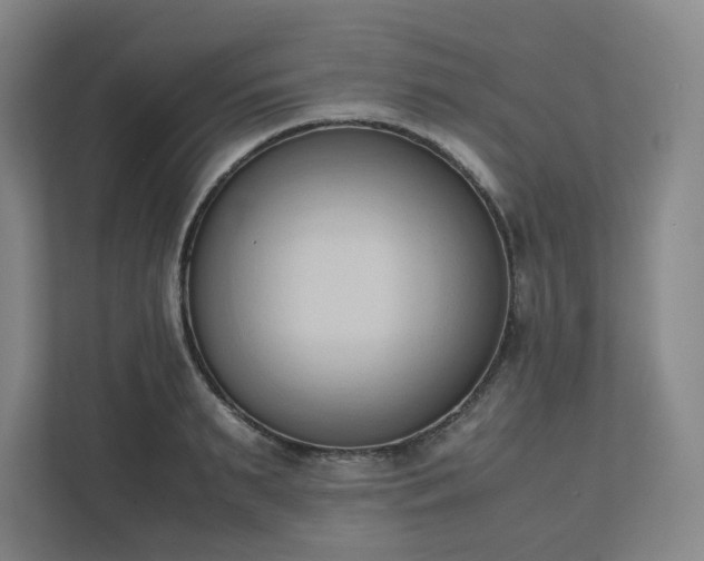 X0000111950895200908031156