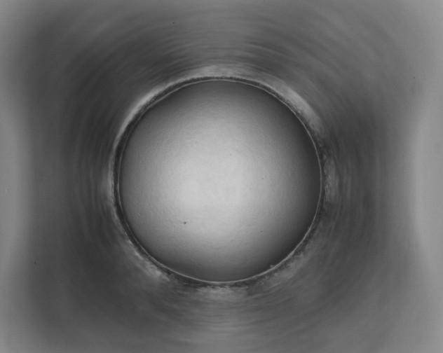 X0000111950896200908031156