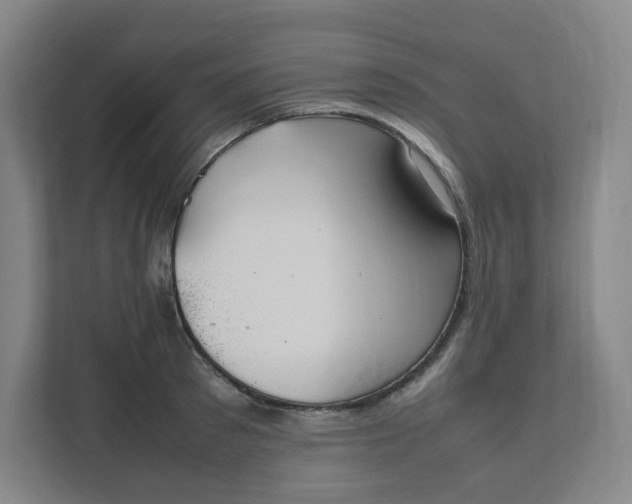 X0000111950897200908031156