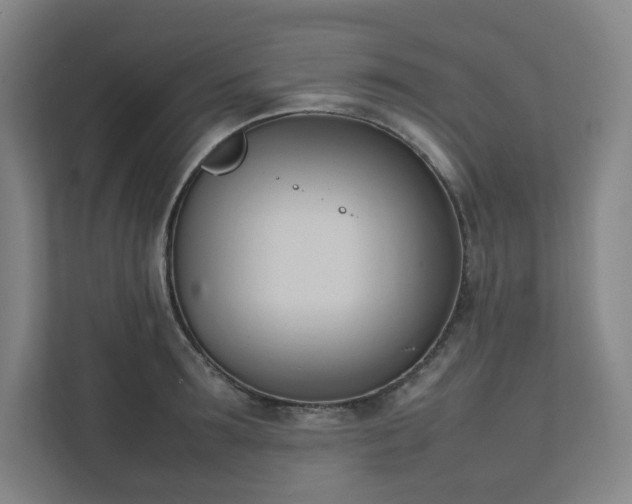 X0000111950899200908031156