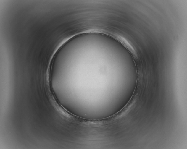 X0000111950900200908031156